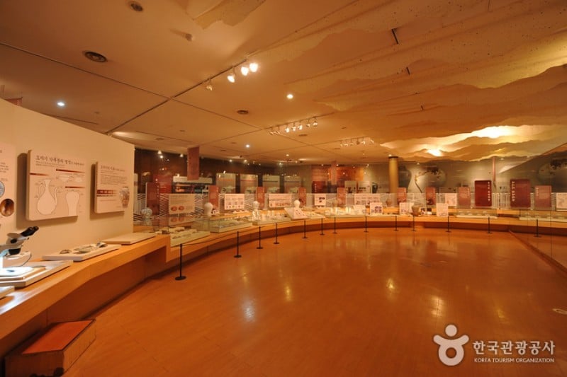 Gyeonggi Ceramic Museum  (6/18)