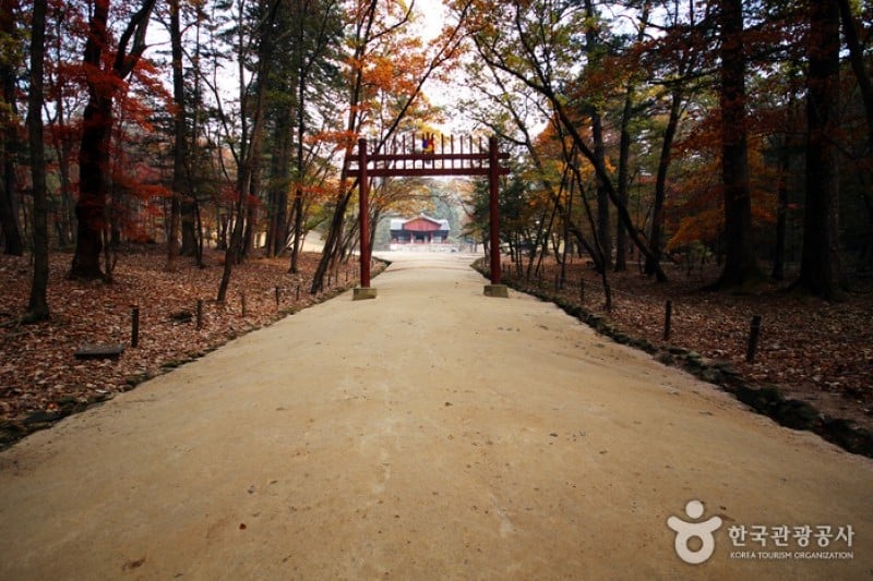 Gwangneung Royal Tomb [UNESCO World Heritage]  (1/10)