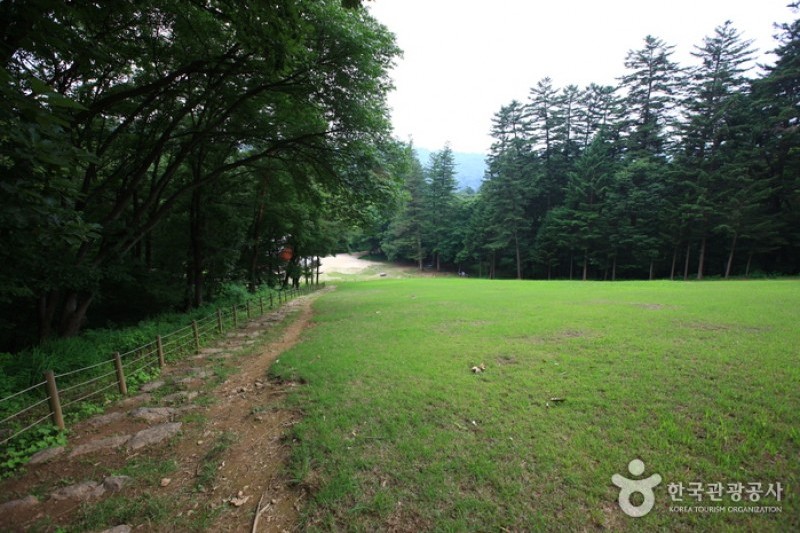Gwangneung Royal Tomb [UNESCO World Heritage]  (7/10)