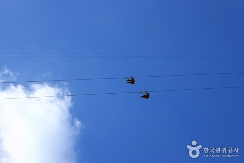 Namiseom Zip Wire  (4/9)