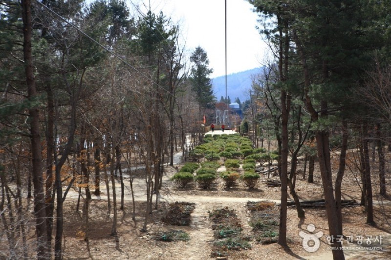 Namiseom Zip Wire  (7/9)