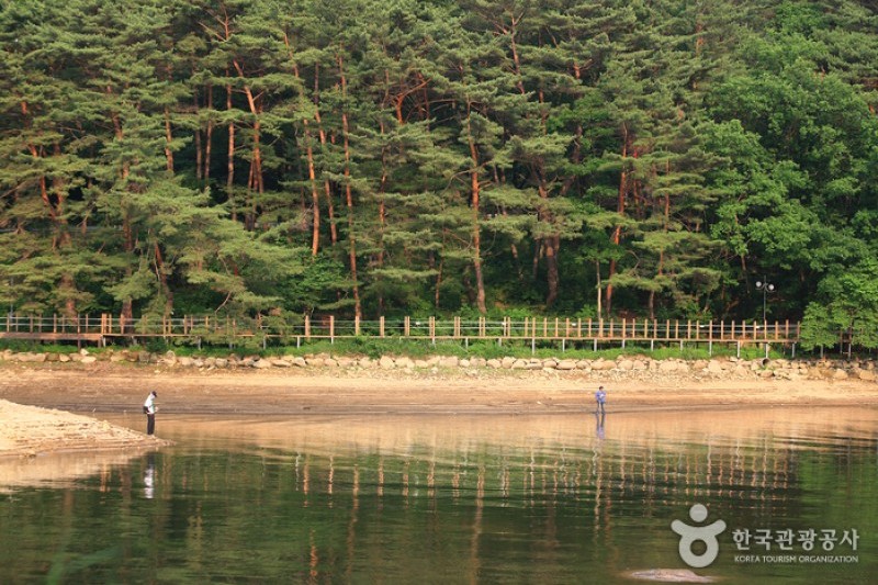 Pocheon Sanjeonghosu Lake  (6/12)