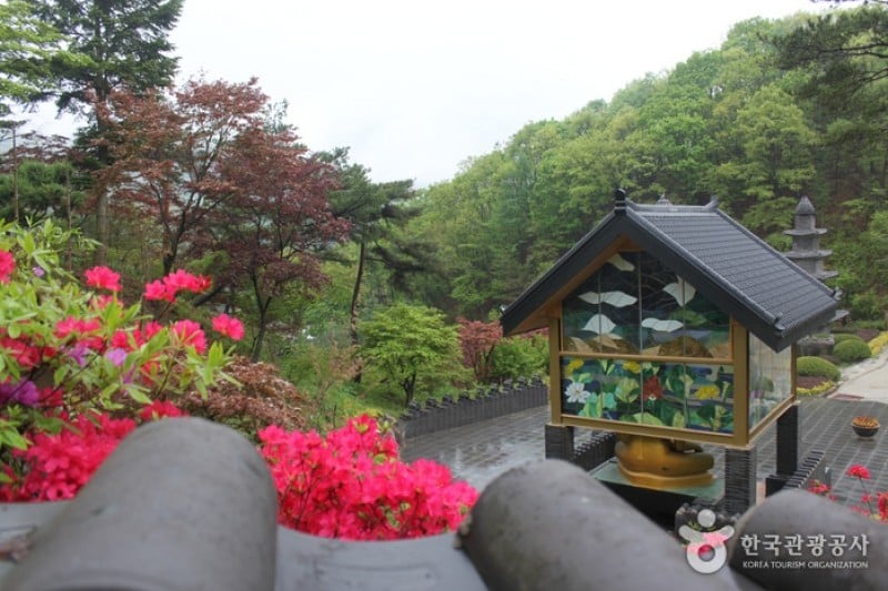 Wawoojongsa Temple (Waujeongsa) - Yongin (13/37)