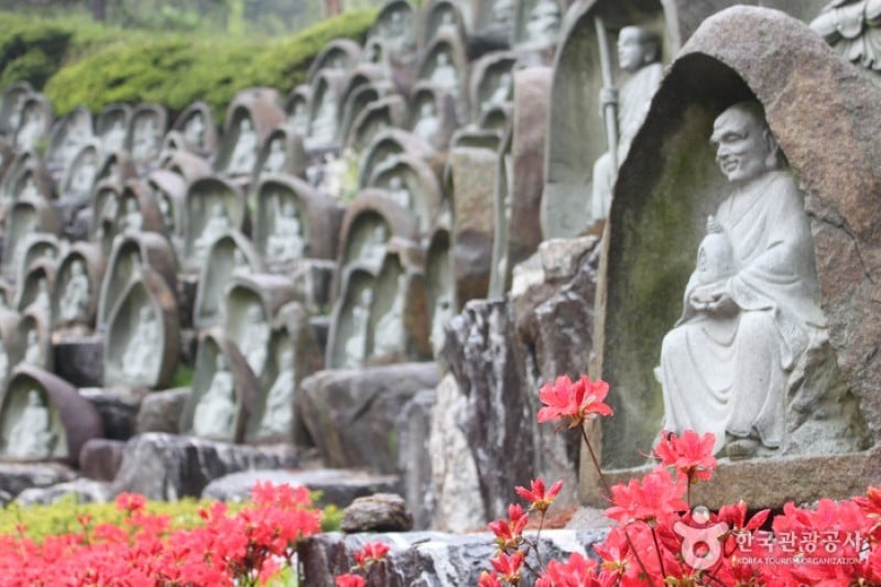 Wawoojongsa Temple (Waujeongsa) - Yongin (14/37)