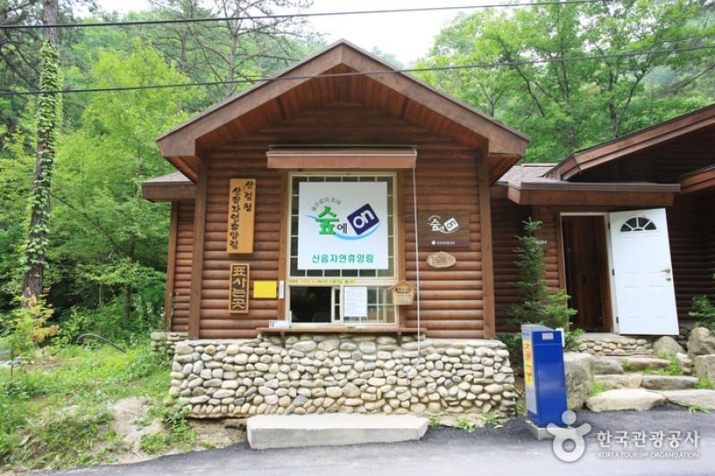 Saneum Recreational Forest  (1/11)