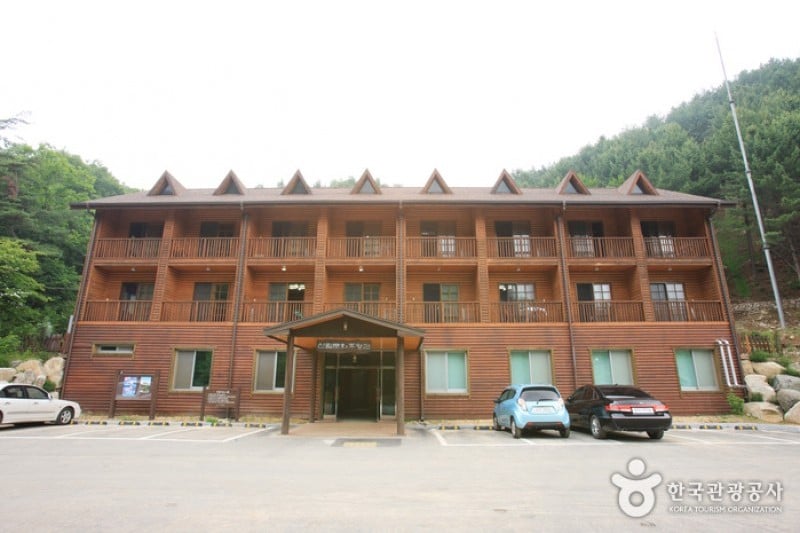 Saneum Recreational Forest  (2/11)