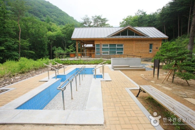 Saneum Recreational Forest  (3/11)