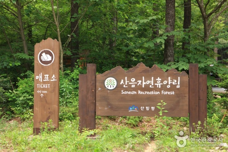 Saneum Recreational Forest  (8/11)