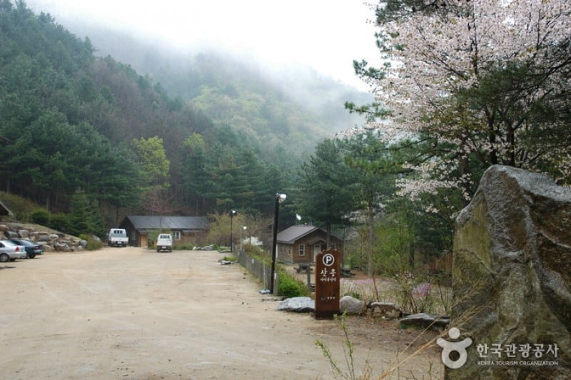 Saneum Recreational Forest  (11/11)