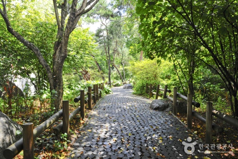 Hantaek Botanical Garden  (1/31)