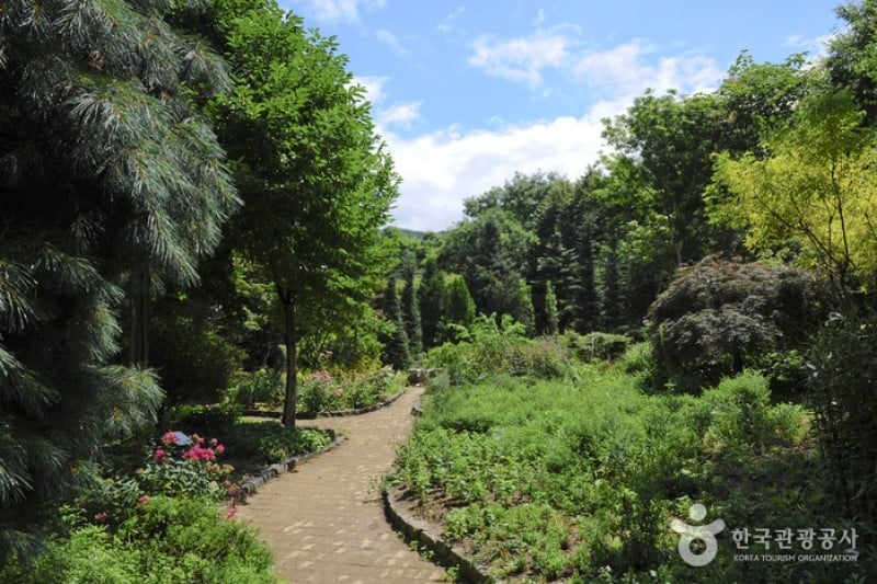 Hantaek Botanical Garden  (2/31)
