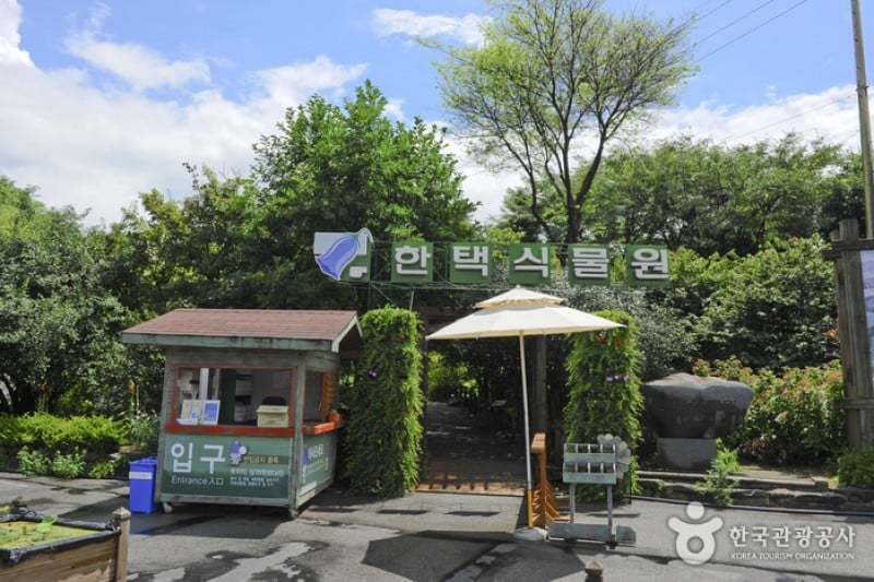 Hantaek Botanical Garden  (4/31)