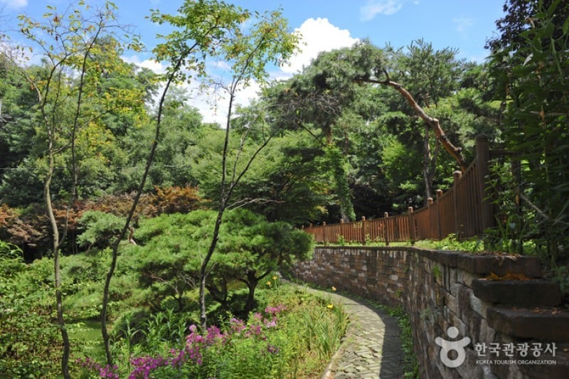 Hantaek Botanical Garden  (6/31)
