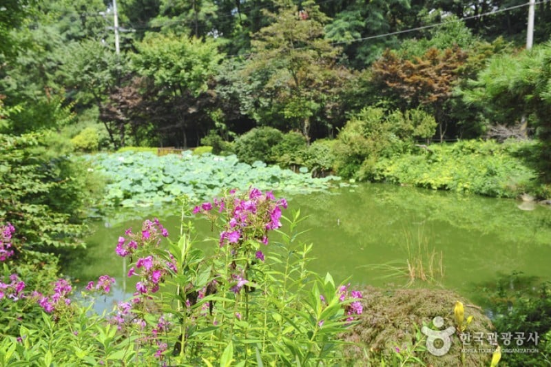 Hantaek Botanical Garden  (7/31)