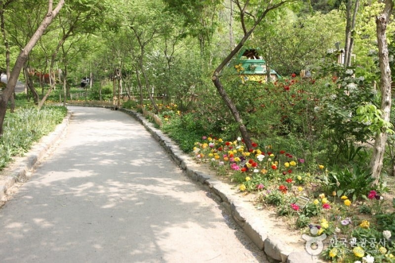 Hantaek Botanical Garden  (8/31)
