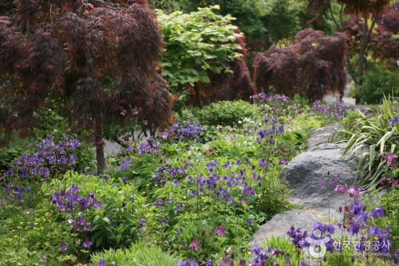 Hantaek Botanical Garden  (9/31)