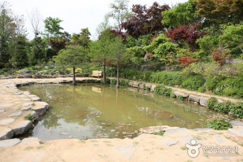 Hantaek Botanical Garden  (10/31)