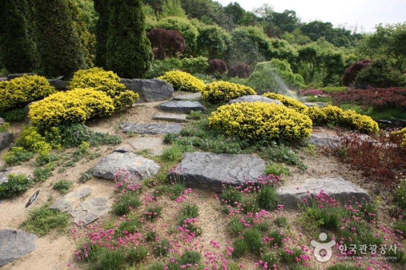 Hantaek Botanical Garden  (11/31)