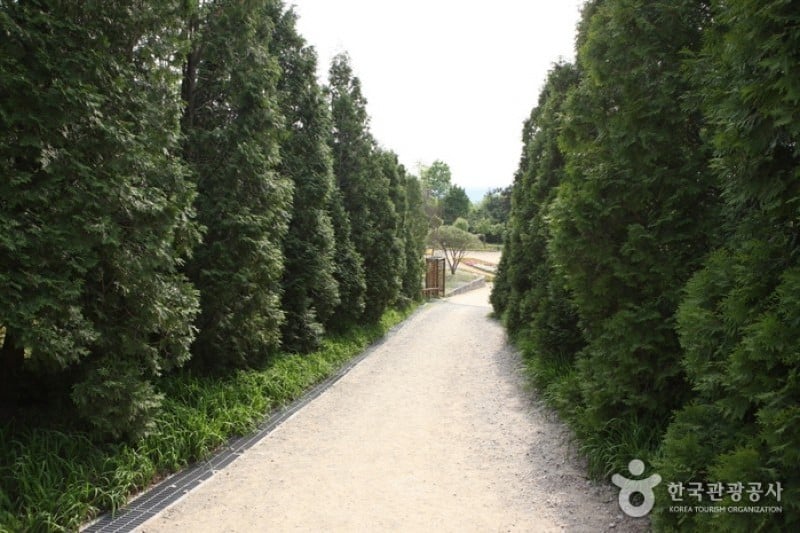 Hantaek Botanical Garden  (13/31)
