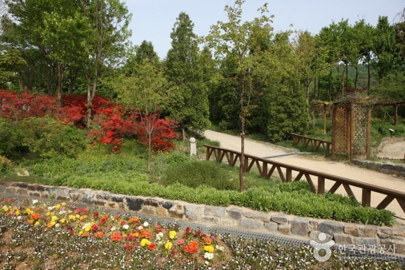 Hantaek Botanical Garden  (14/31)