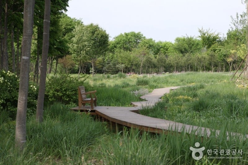 Hantaek Botanical Garden  (15/31)
