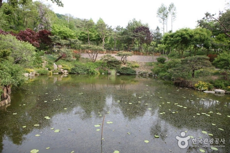 Hantaek Botanical Garden  (16/31)
