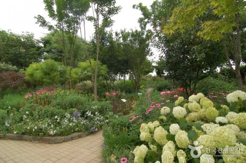 Hantaek Botanical Garden  (17/31)