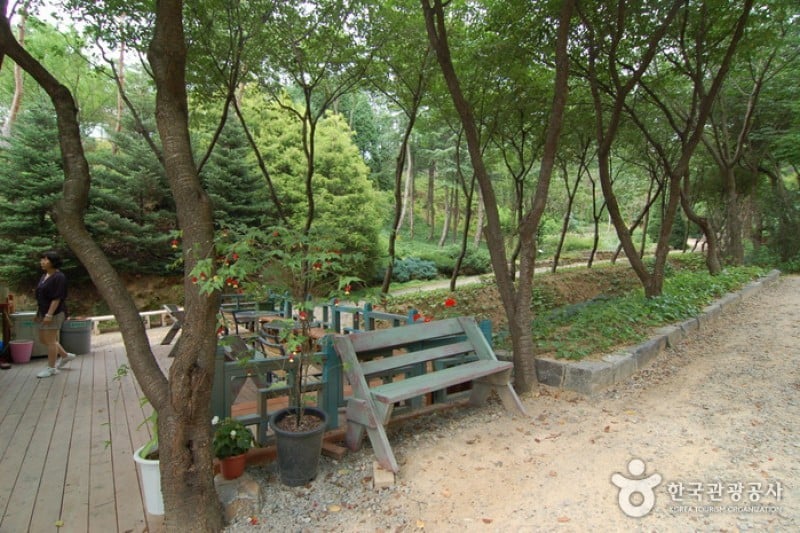 Hantaek Botanical Garden  (18/31)