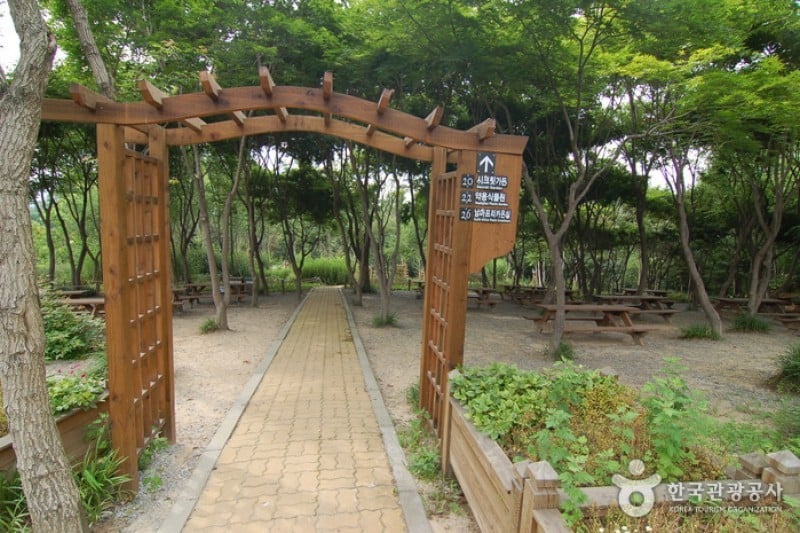 Hantaek Botanical Garden  (19/31)