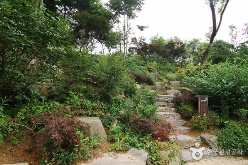 Hantaek Botanical Garden  (20/31)