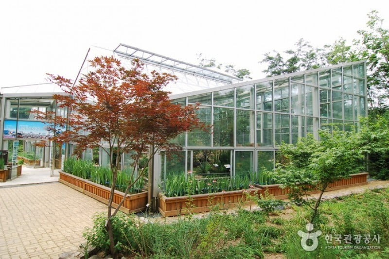 Hantaek Botanical Garden  (21/31)