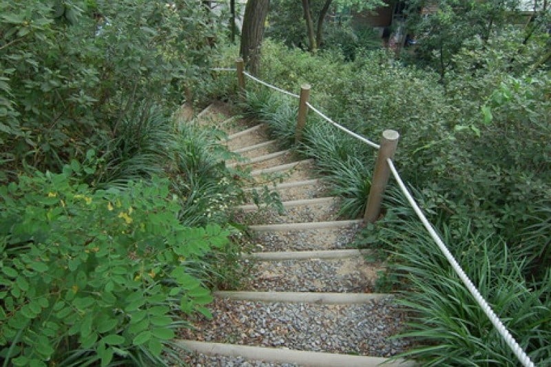 Hantaek Botanical Garden  (23/31)