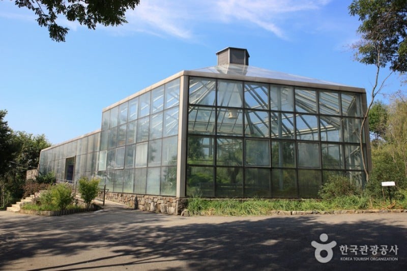 Hantaek Botanical Garden  (30/31)