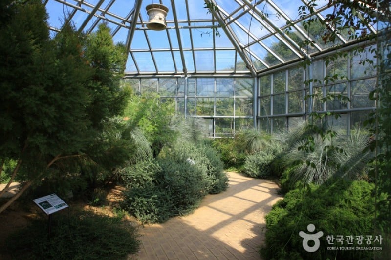 Hantaek Botanical Garden  (31/31)
