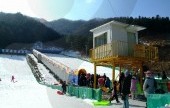 Gapyeong Sledding Hills 