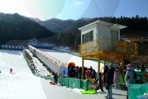 Gapyeong Sledding Hills 