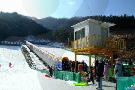 Gapyeong Sledding Hills 
