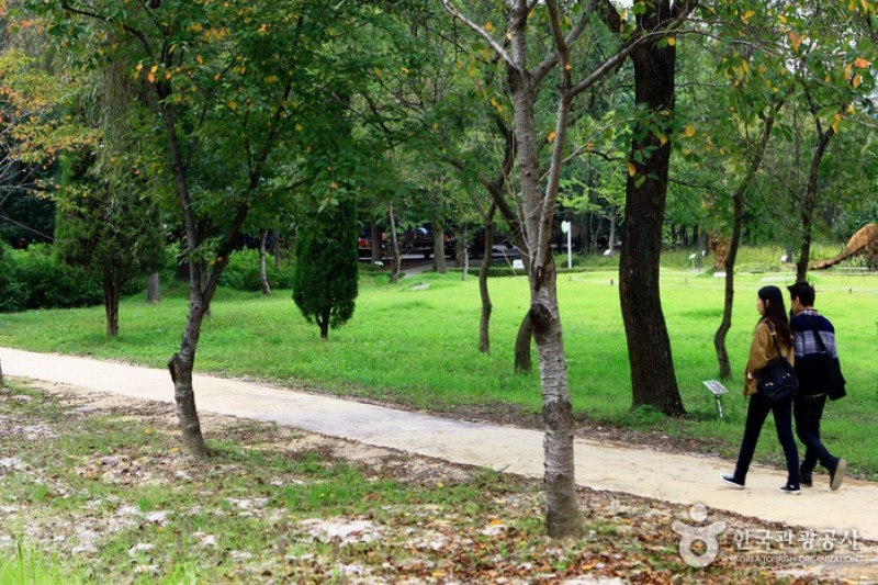 Mulhyanggi Arboretum  (1/48)
