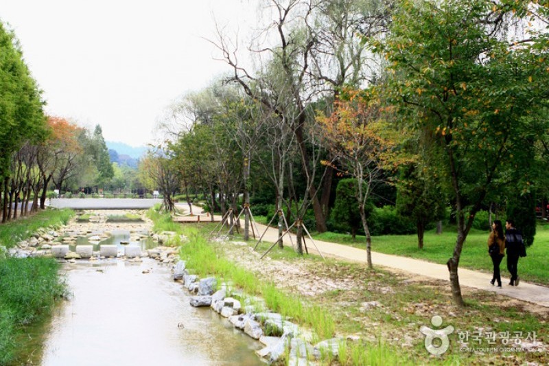 Mulhyanggi Arboretum  (2/48)