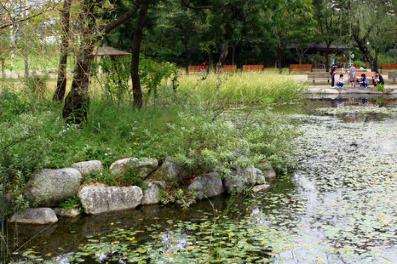 Mulhyanggi Arboretum  (6/48)