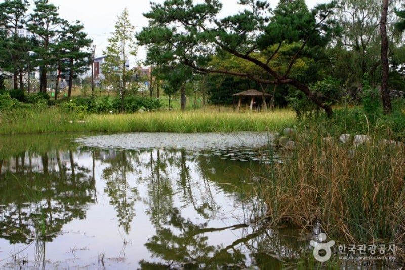 Mulhyanggi Arboretum  (7/48)