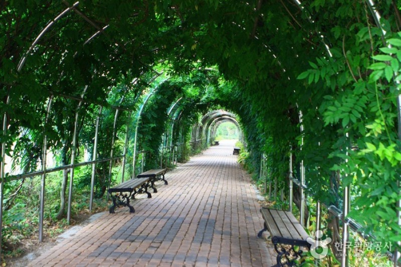 Mulhyanggi Arboretum  (8/48)