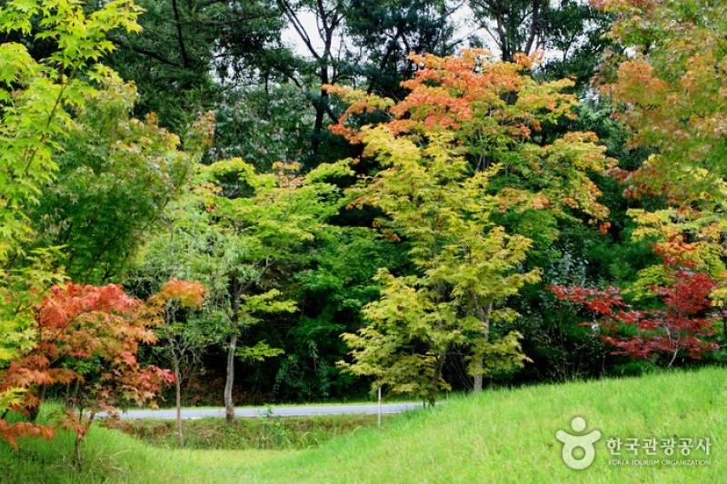 Mulhyanggi Arboretum  (11/48)