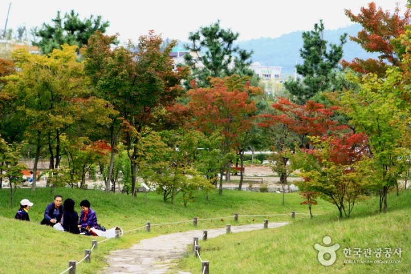 Mulhyanggi Arboretum  (12/48)