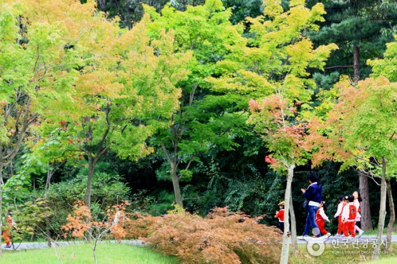 Mulhyanggi Arboretum  (13/48)
