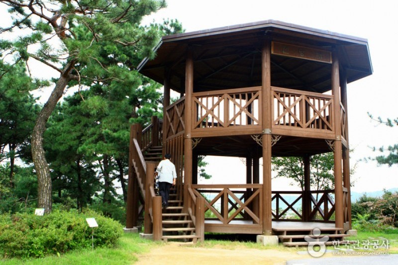 Mulhyanggi Arboretum  (17/48)
