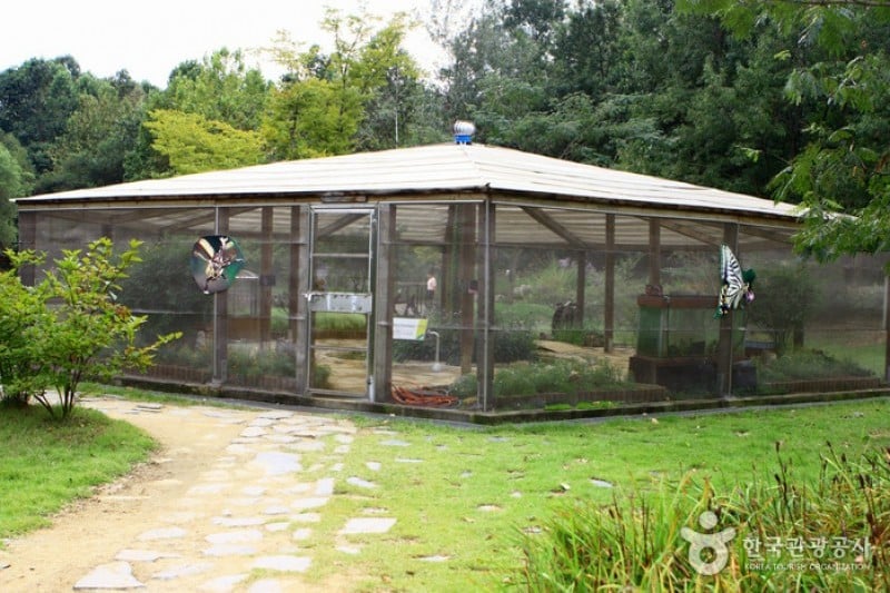 Mulhyanggi Arboretum  (18/48)