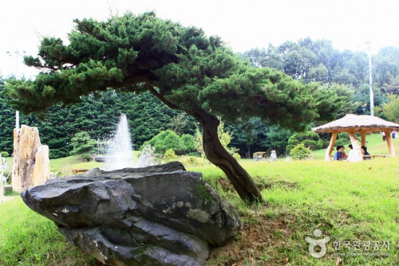 Mulhyanggi Arboretum  (19/48)
