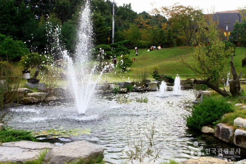Mulhyanggi Arboretum  (20/48)