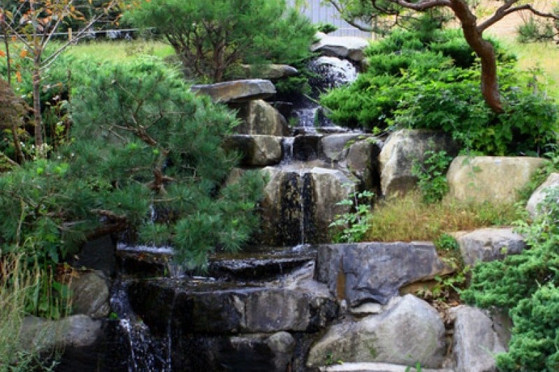 Mulhyanggi Arboretum  (21/48)